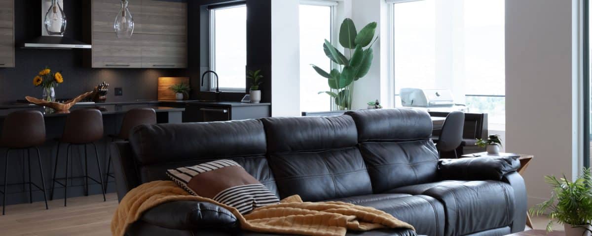 Modern living room featuring sleek black leather furniture, complemented by minimalist decor and natural light.